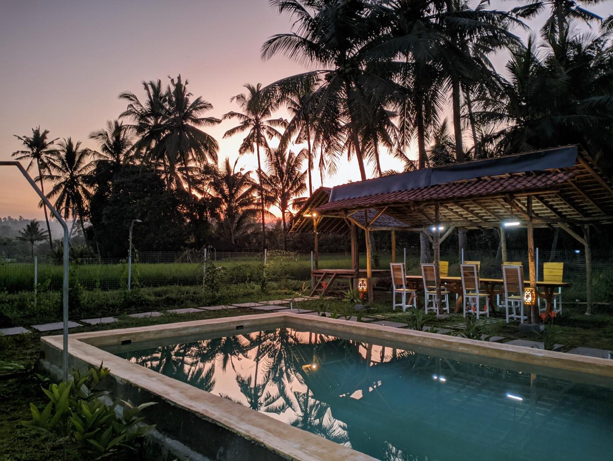 Wooden Kemiren Homestay Banyuwangi Banyuwangi  Exterior foto