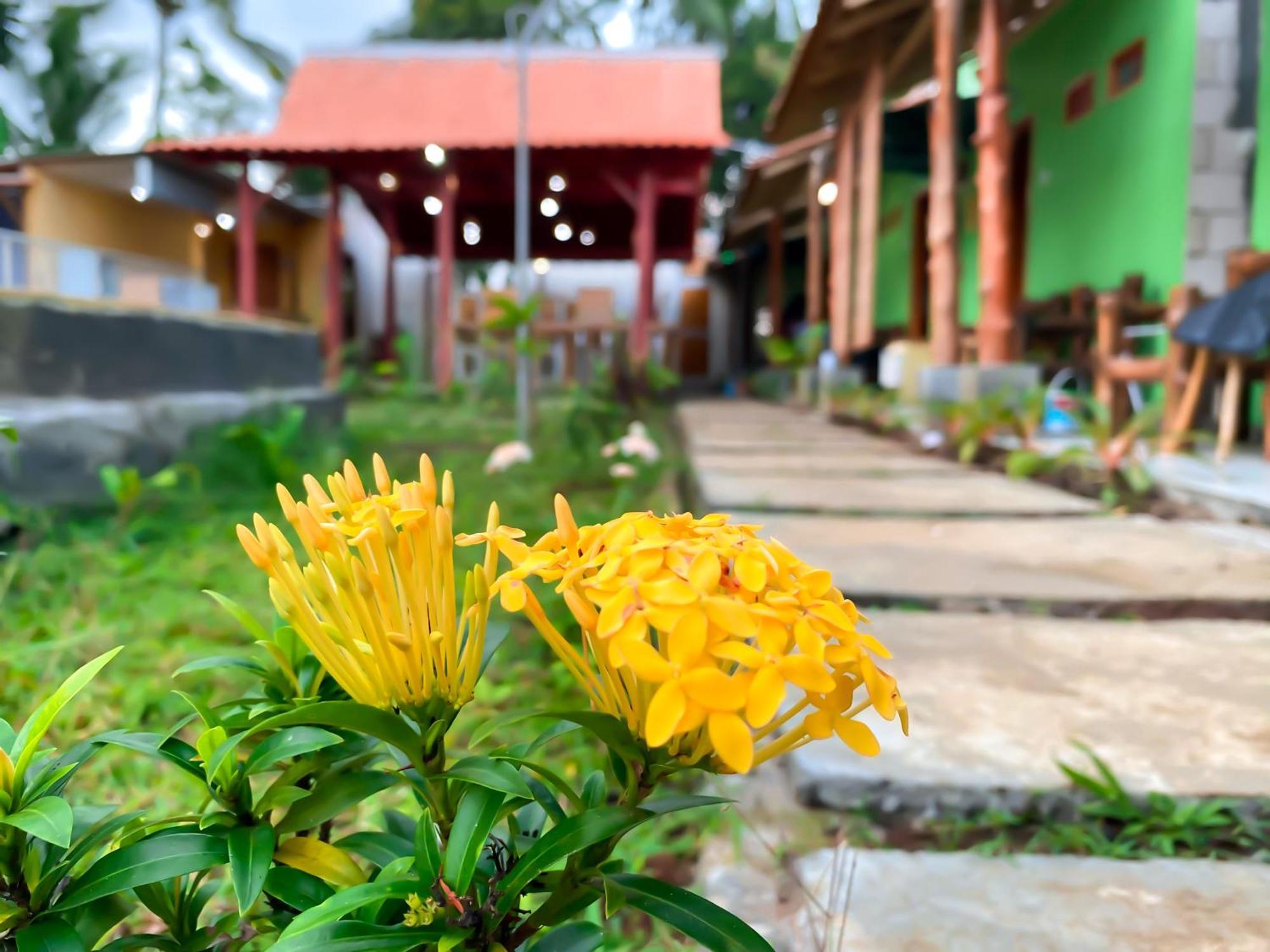 Wooden Kemiren Homestay Banyuwangi Banyuwangi  Exterior foto